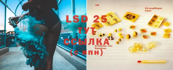 PSILOCYBIN Абдулино