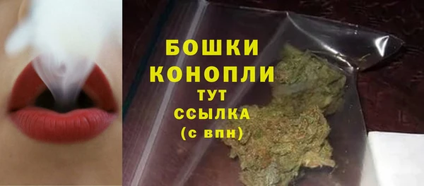 PSILOCYBIN Абдулино