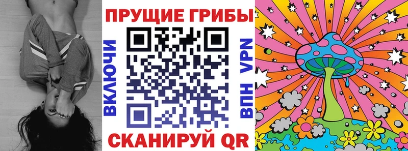 Галлюциногенные грибы мухоморы  кракен ТОР  Новотроицк  где найти наркотики 